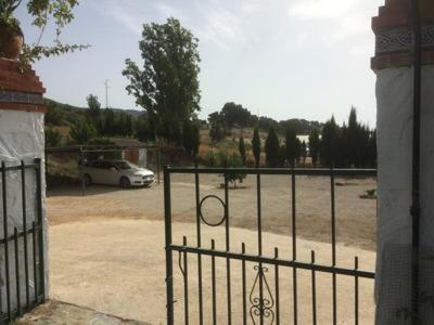 Casa De Campo "La Campanera" Constantina Zewnętrze zdjęcie